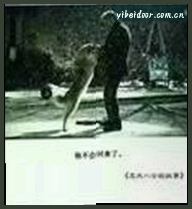 王昊